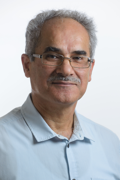 Prof. Mahmoud Huleihel