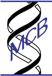 homeicon