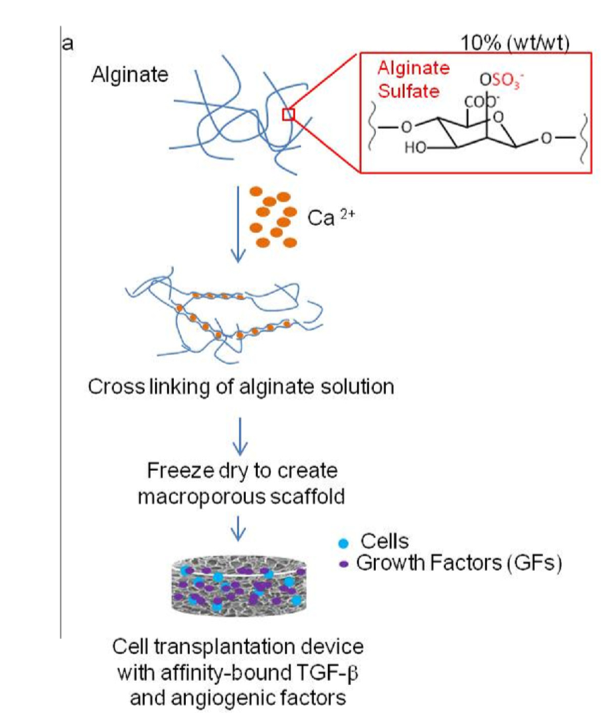 3D scaffolds for immune modulation in autoimmune diseases